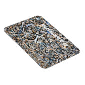 Strand, Muscheln, Driftwood, Baltrum Island Postca Magnet (Rechte Seite)