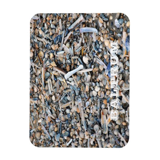 Strand, Muscheln, Driftwood, Baltrum Island Postca Magnet (Vertikal)