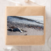 Strand nah (Insitu)