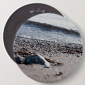 Strand nah button (Vorne & Hinten)