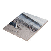 Strand nah fliese (Seite)