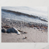 Strand nah flyer (Hinten)