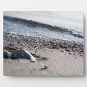 Strand nah fotoplatte (Vorderseite)