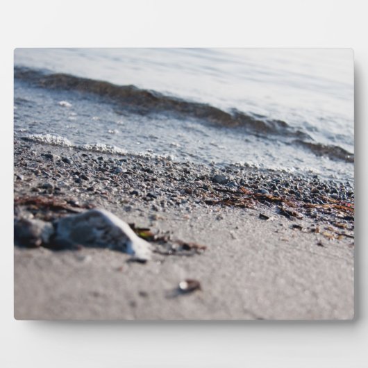 Strand nah fotoplatte (Vorderseite)