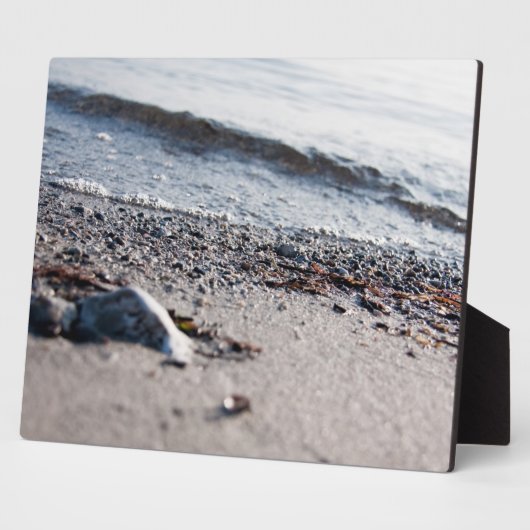 Strand nah fotoplatte (Seite)