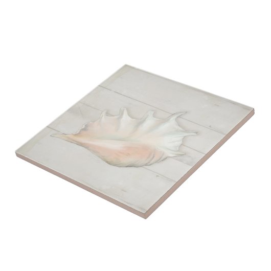 Strand Nautic Seashell Conch Tropisches weißes Hol Fliese (Seite)