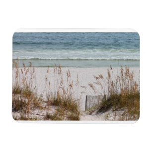 Strand, Ozean, Gras Magnet