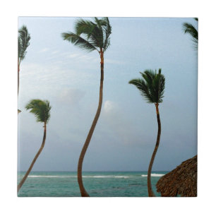 Strand-Palme Fliese