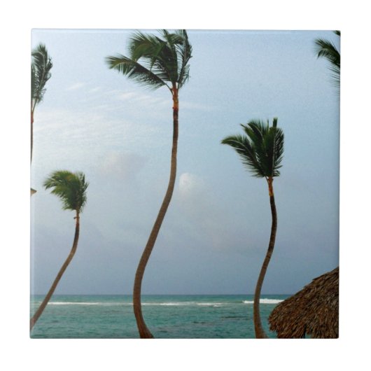 Strand-Palme Fliese (Vorderseite)