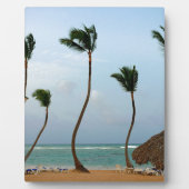 Strand-Palme Fotoplatte (Vorderseite)