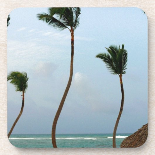 Strand-Palme Untersetzer (Vorderseite)