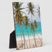 Strand-Palmen Fotoplatte (Seite)