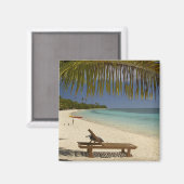 Strand, Palmen & Liegestühle Magnet (Vorderseite/Rückseite)