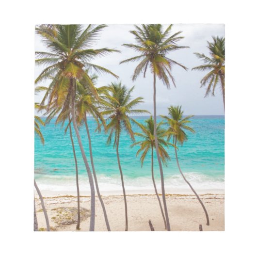 Strand-Palmen Notizblock (Vorderseite)