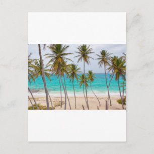 Strand-Palmen Postkarte
