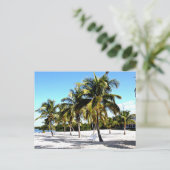 Strand Pensacola Postkarte (Stehend Vorderseite)