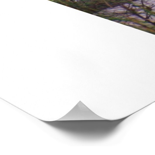 Strand Poster (Ecke)