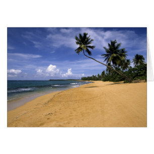 Strand Puerto Rico 2