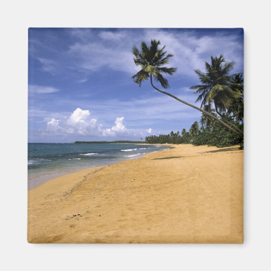 Strand Puerto Rico 2 Magnet (Vorne)