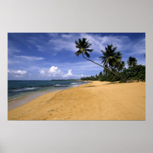 Strand Puerto Rico 2 Poster