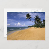Strand Puerto Rico 2 Postkarte (Vorne/Hinten)