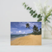 Strand Puerto Rico 2 Postkarte (Stehend Vorderseite)