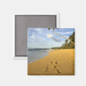 Strand Puerto Rico Magnet (Vorderseite/Rückseite)