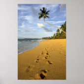 Strand Puerto Rico Poster (Vorne)