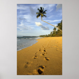 Strand Puerto Rico Poster