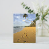 Strand Puerto Rico Postkarte (Stehend Vorderseite)