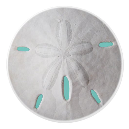Strand Sand Dollar Sommer türkisfarbene Farbe Weiß Keramikknauf (Vorderseite)