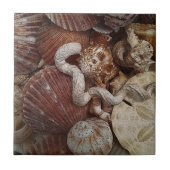 Strand Seashells Sand Dollar Fliese (Vorderseite)