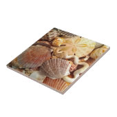Strand Seashells Sand Dollar Fliese (Seite)