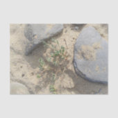 Strand Seidenpapier (Vorderseite)