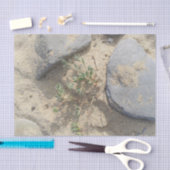 Strand Seidenpapier (Handwerk)