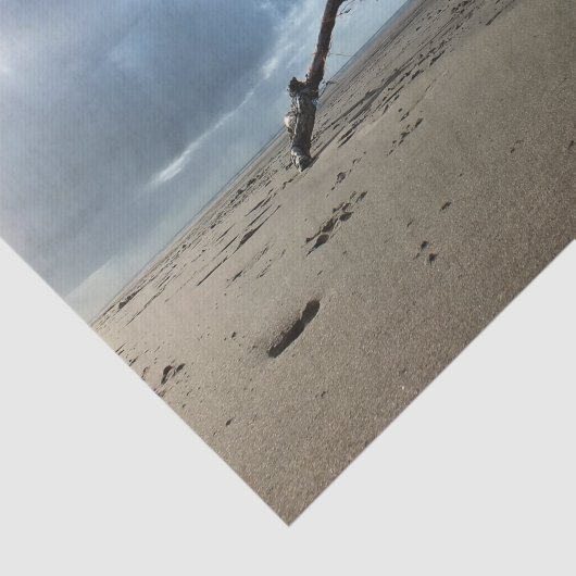 STRAND SEIDENPAPIER (Ausschnitt)