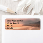 Strand Serene Friedliche Landschaft Meer (Insitu)