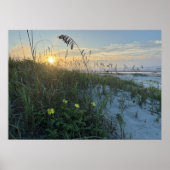 Strand Sonnenaufgang über Dünen Poster (Vorne)