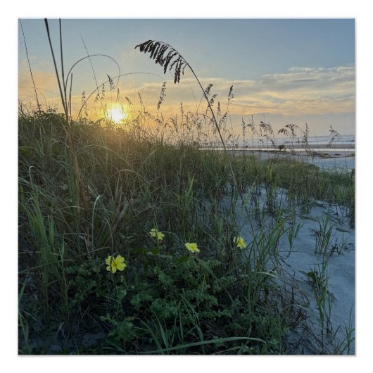 Strand Sonnenaufgang über Dünen Poster (Vorderseite)