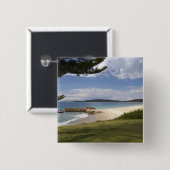 Strand, South West Rocks, New South Wales, Button (Vorne & Hinten)