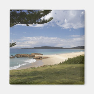 Strand, South West Rocks, New South Wales, Magnet