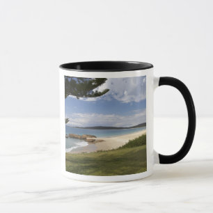 Strand, South West Rocks, New South Wales, Tasse