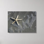 Strand Starfish Canvas Print Leinwanddruck (Vorderseite)