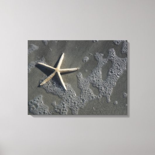 Strand Starfish Canvas Print Leinwanddruck (Vorderseite)