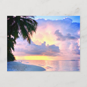 Strand Sunset Meer Sandpalme Maldives Miami Postkarte