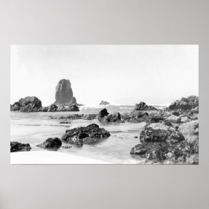 Strand-Szene am Kanonen-Strand, Oregon-Fotografie Poster