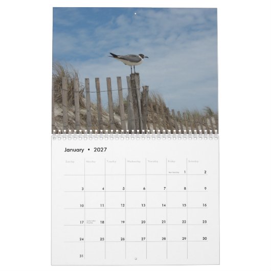 Strand-Szenen-19-monatiger Kalender 2011-2012 (Jan 2027)