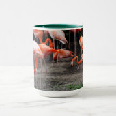 Strand Tasse (Zentrum)