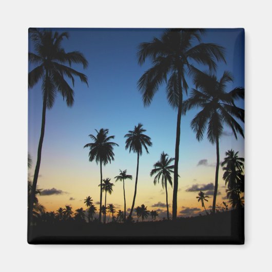 Strand und Küstenort | Praia Do Forte Magnet (Vorne)