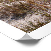 Strand und Ozean Poster (Ecke)